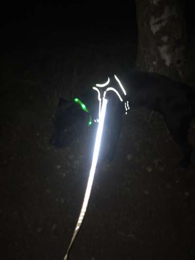 Foto-Challenge No. 2 - Mein Licht im Dunkeln-Beitrag-Bild