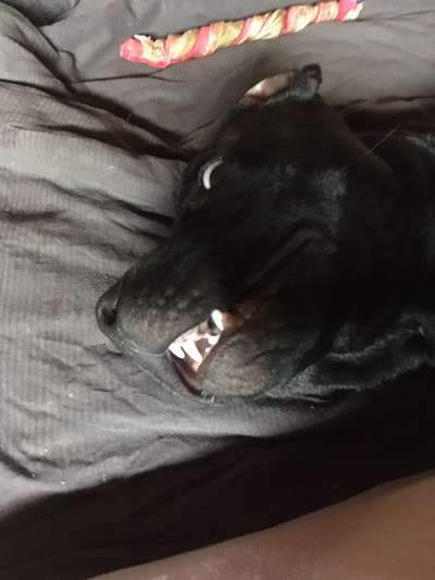 Zauberhaftes lächeln-Beitrag-Bild