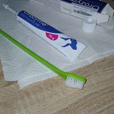 Zahnpflegemittel-Beitrag-Bild