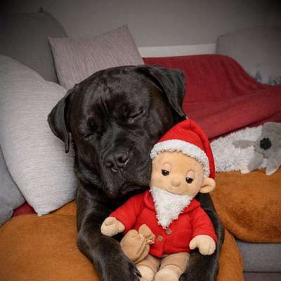 Schlaf Sand wie am besten weg bekommen-Beitrag-Bild