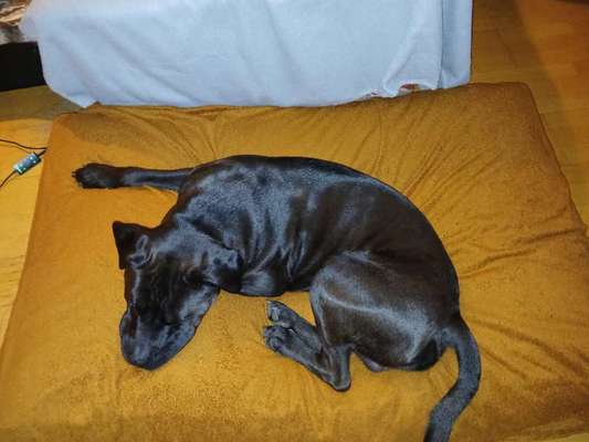 Schlafposition-Beitrag-Bild