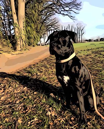 Fotochallenge 124 - Dein Comic-Hund-Beitrag-Bild