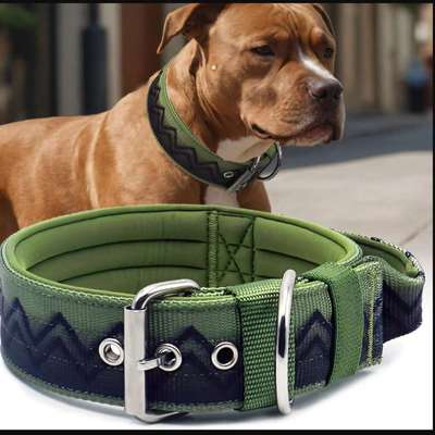 Antizieh Geschirr Amstaff-Beitrag-Bild