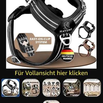 Wie sitzt mein Geschirr?-Beitrag-Bild