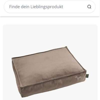 Orthopädische hundebetten-Beitrag-Bild