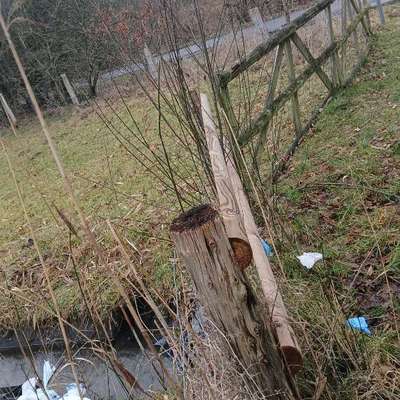 Was hat euch heute genervt?-Beitrag-Bild