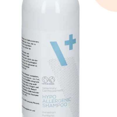 Gutes Hundeshampoo-Beitrag-Bild