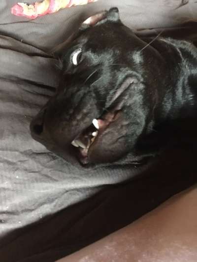 Lustige Grimassen & verrückte Posen-Beitrag-Bild