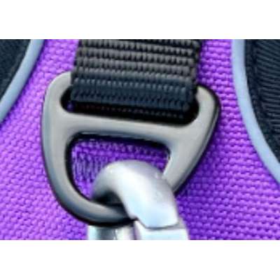 Karabiner löst sich beim Schütteln – Problem mit spezieller Ring-Befestigung an Hundejacke.-Beitrag-Bild