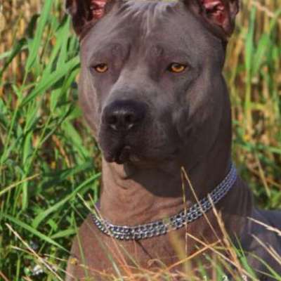 Was hat euch heute genervt?-Beitrag-Bild