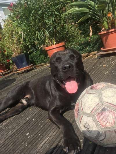 Handyfoto challenge Nr. 13: Waschlappen raus!-Beitrag-Bild