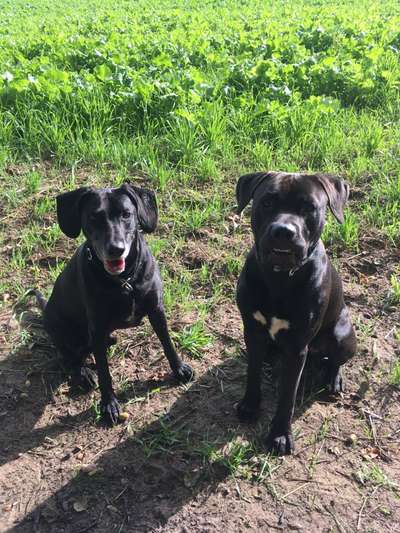 Lustige Grimassen & verrückte Posen-Beitrag-Bild