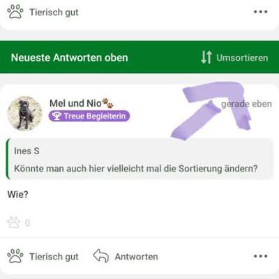 Was hat euch heute genervt?-Beitrag-Bild
