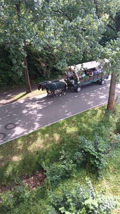 Was hat euch heute genervt?-Beitrag-Bild