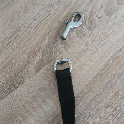 Was hat euch heute gefreut?-Beitrag-Bild