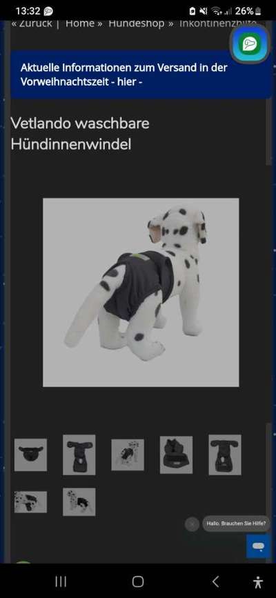 Stuhlinkontinenz-Beitrag-Bild