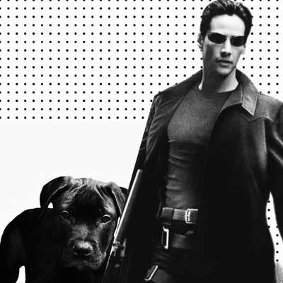 Wie heißt dein Hund?-Beitrag-Bild