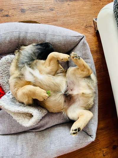 CHALLENGE NR. 34 - Liege-/Schlafpositionen-Beitrag-Bild