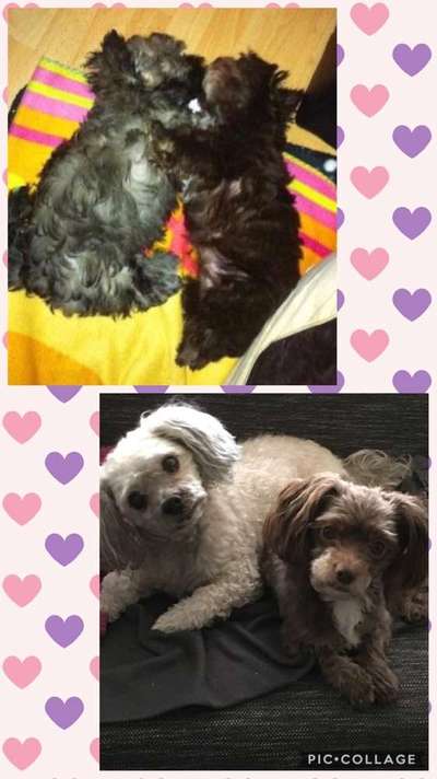 Vorher.... Nachher-Beitrag-Bild