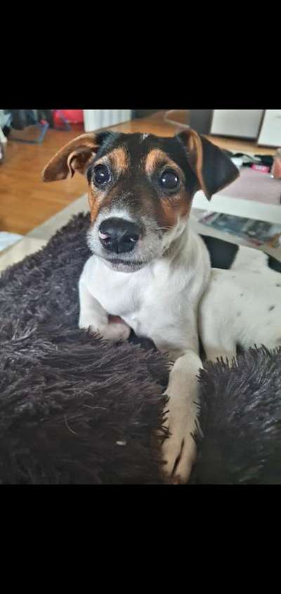 Foto Challenge 3-Beitrag-Bild