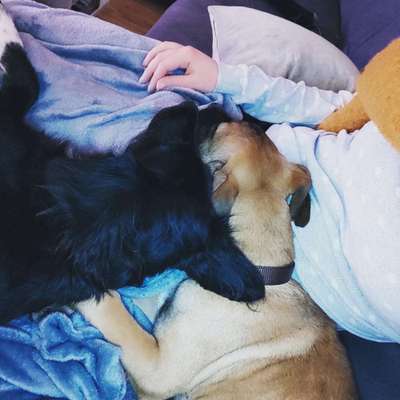 Challenge 30  Freundschaft-Beitrag-Bild