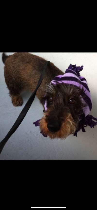 Unsere Sternchen ******-Beitrag-Bild