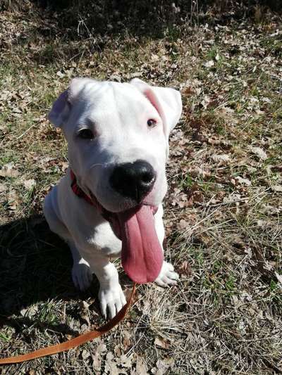 Fotochallenge No. 26                                     Wald und Wiese-Beitrag-Bild