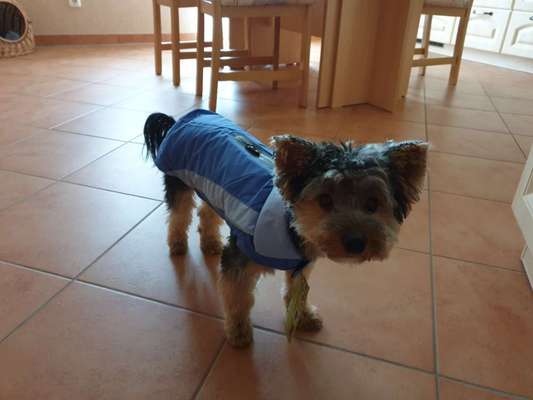 Pullis, Jacken, Hütte und alles sonstiges-Beitrag-Bild