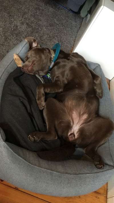 Foto Challenge - Zeigt her eure Bäuche-Beitrag-Bild