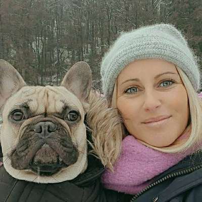 Hundetreffen-Bully-Profilbild