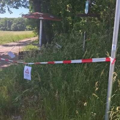 Giftköder-Eichenprozessionsspinner-Bild