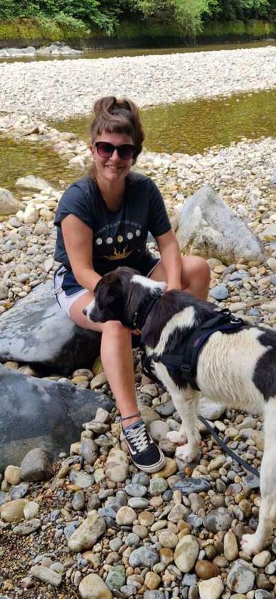 Hundetreffen-Spaziere, spiele, lerne...-Bild