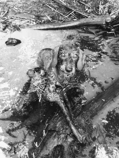 Foto-Challenge 76: Foto in Schwarz-Weiss-Beitrag-Bild