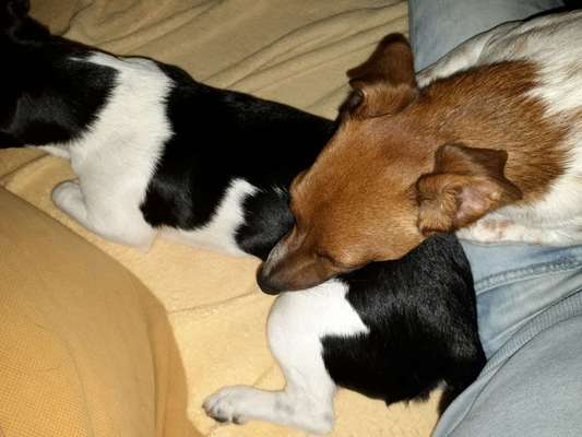 Die unbequemsten und lustigsten Schlafpositionen-Beitrag-Bild