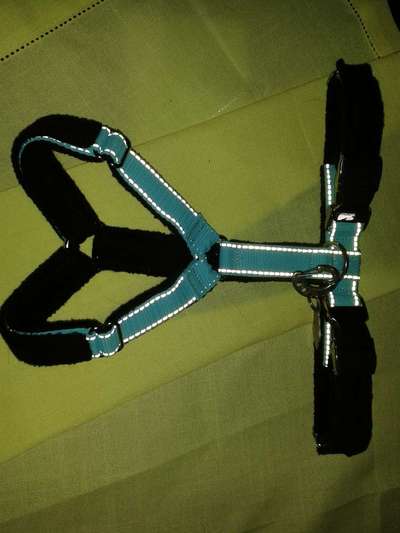 Angst vor Geschirr-Beitrag-Bild