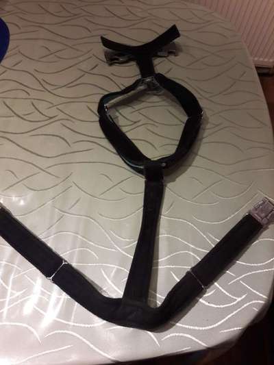 Angst vor Geschirr-Beitrag-Bild