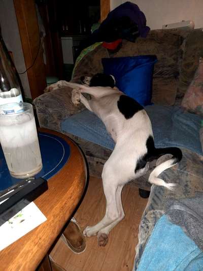 Die unbequemsten und lustigsten Schlafpositionen-Beitrag-Bild