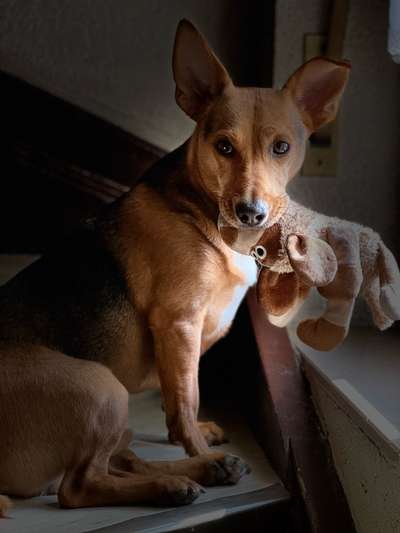 19. Handy - Foto - Challenge-Beitrag-Bild