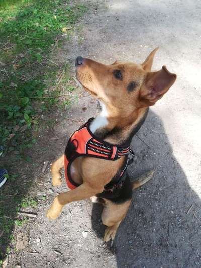 Blick fürs Detail!-Beitrag-Bild