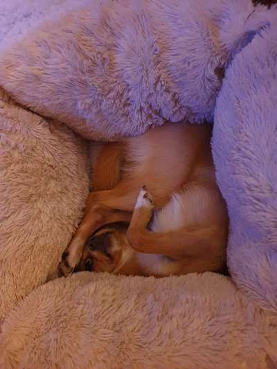 Die unbequemsten und lustigsten Schlafpositionen-Beitrag-Bild