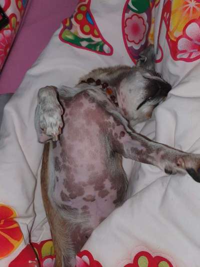 Die unbequemsten und lustigsten Schlafpositionen-Beitrag-Bild