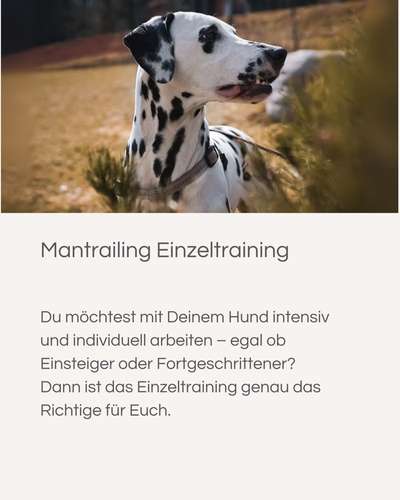 Giftköder-Mantrailing Einzeltraining-Bild