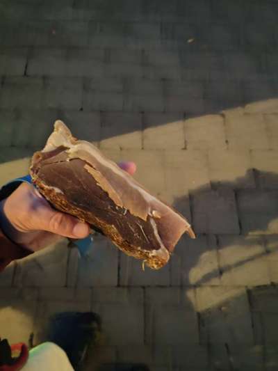 Giftköder-Roher geräucherter Schinken und Brot-Bild