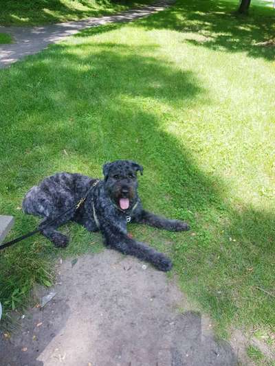 Lieblingsbild :D-Beitrag-Bild