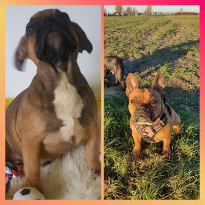 Sie werden so schnell groß!-Beitrag-Bild