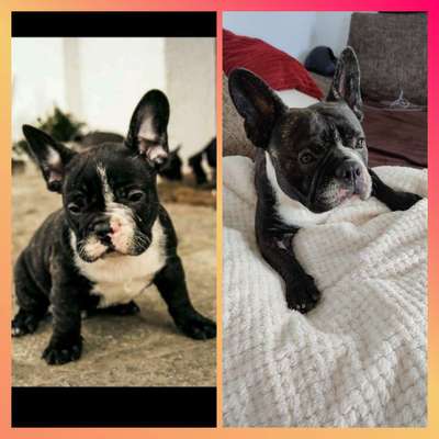 Sie werden so schnell groß!-Beitrag-Bild