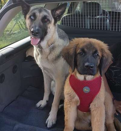 CHALLENGE NR. 18 - ON TOUR-Beitrag-Bild