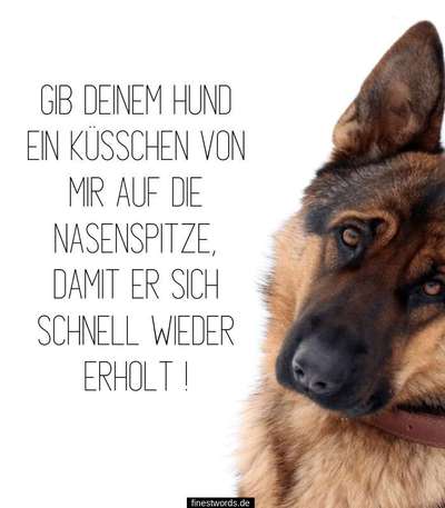 Wunde am Auge-Beitrag-Bild