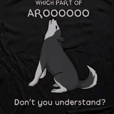 aktuelles Foto Gruppe Husky und Husky Mischlinge