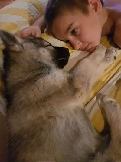 Hundmenschfotos-Beitrag-Bild